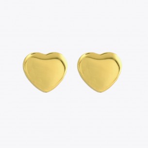 Steel Heart Earrings